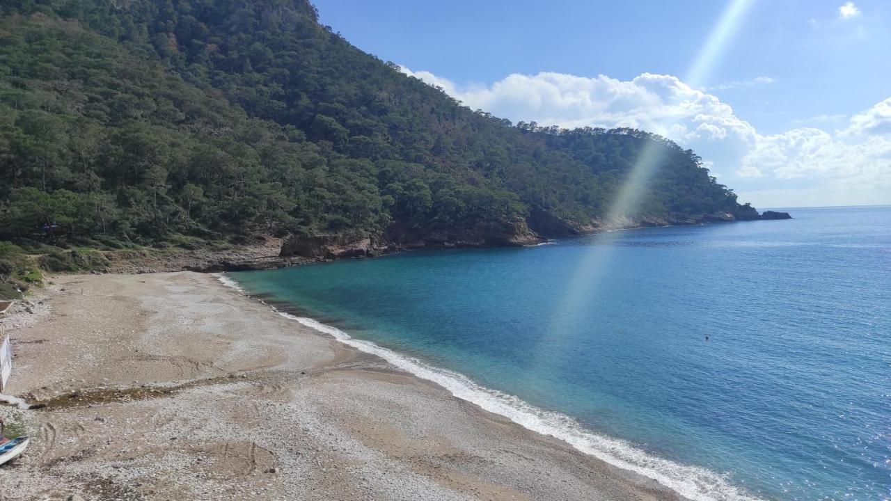 Kabak Lost Forest Villa Faralya Exterior foto