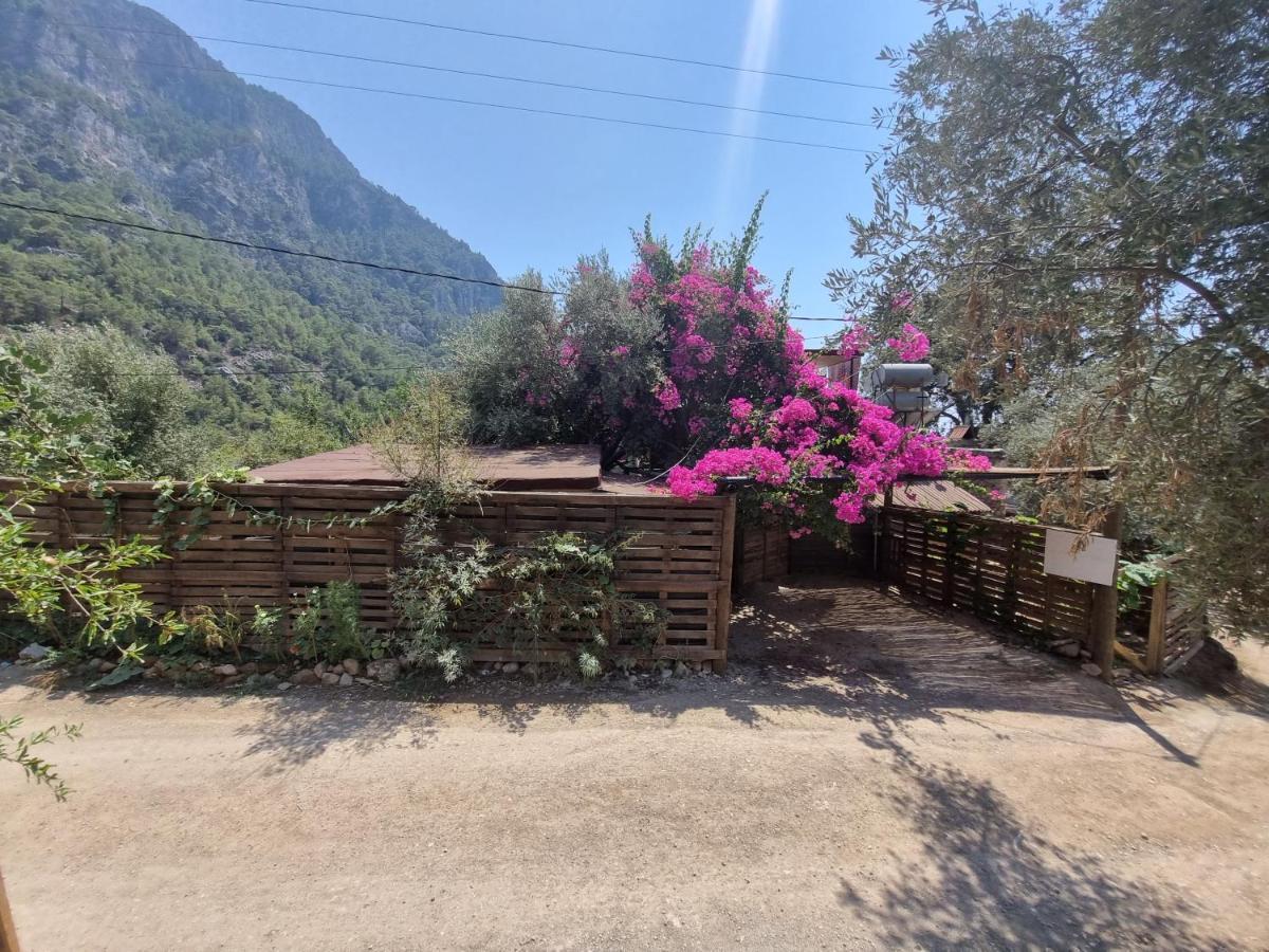 Kabak Lost Forest Villa Faralya Exterior foto